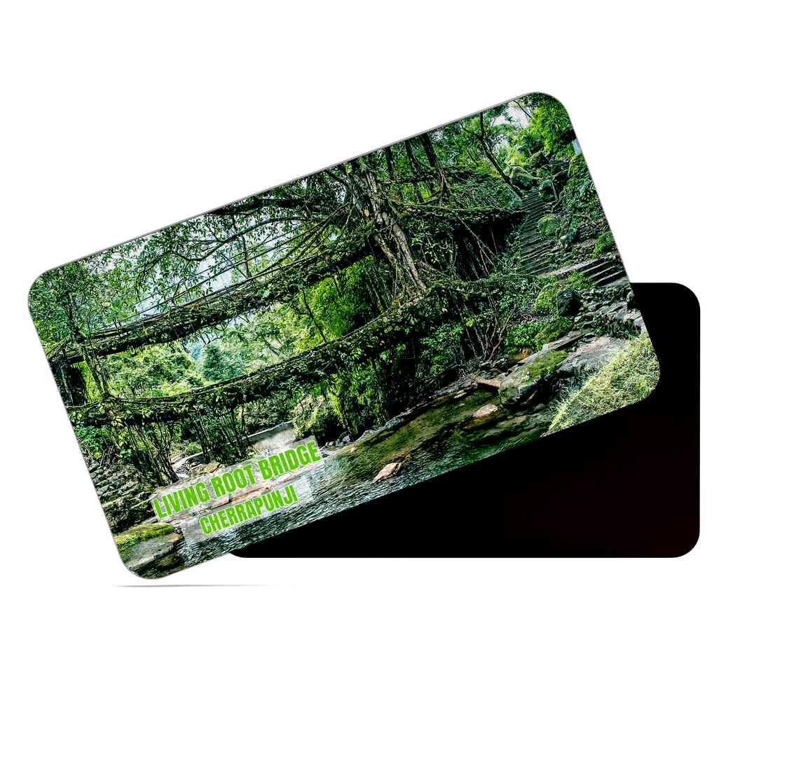 dhcrafts Multicolor Meghalaya Living Root Bridge Cherrapunji Design Rectangular Rubber Matte Finish Fridge Magnet / Magnetic Card Pack of 1 (8.6cm x 5.4cm)