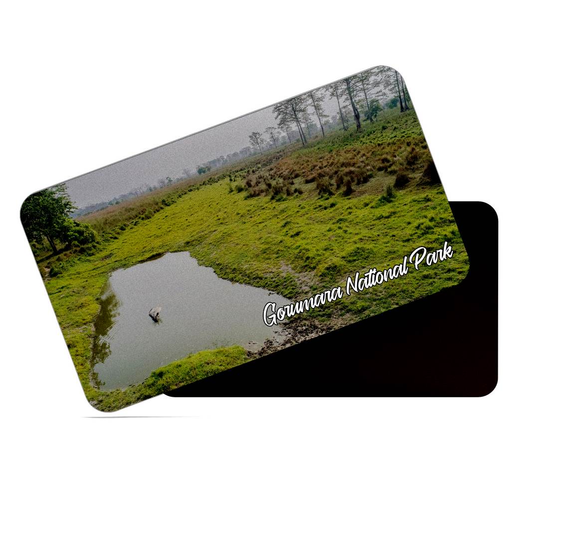 dhcrafts Multicolor West Bengal Gorumara National Park
Design Rectangular Rubber Matte Finish Fridge Magnet / Magnetic Card Pack of 1 (8.6cm x 5.4cm)