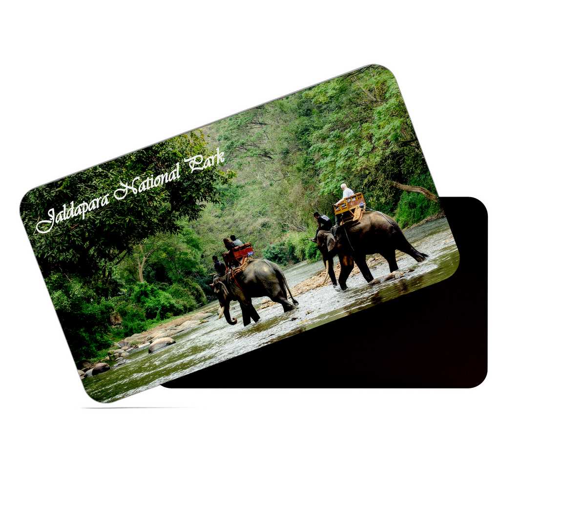 dhcrafts Multicolor West Bengal Jaldapara National Park Design Rectangular Rubber Matte Finish Fridge Magnet / Magnetic Card Pack of 1 (8.6cm x 5.4cm)