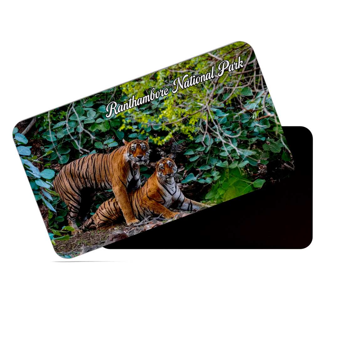 dhcrafts Multicolor Rajasthan Ranthambore National Park Design Rectangular Rubber Matte Finish Fridge Magnet / Magnetic Card Pack of 1 (8.6cm x 5.4cm)