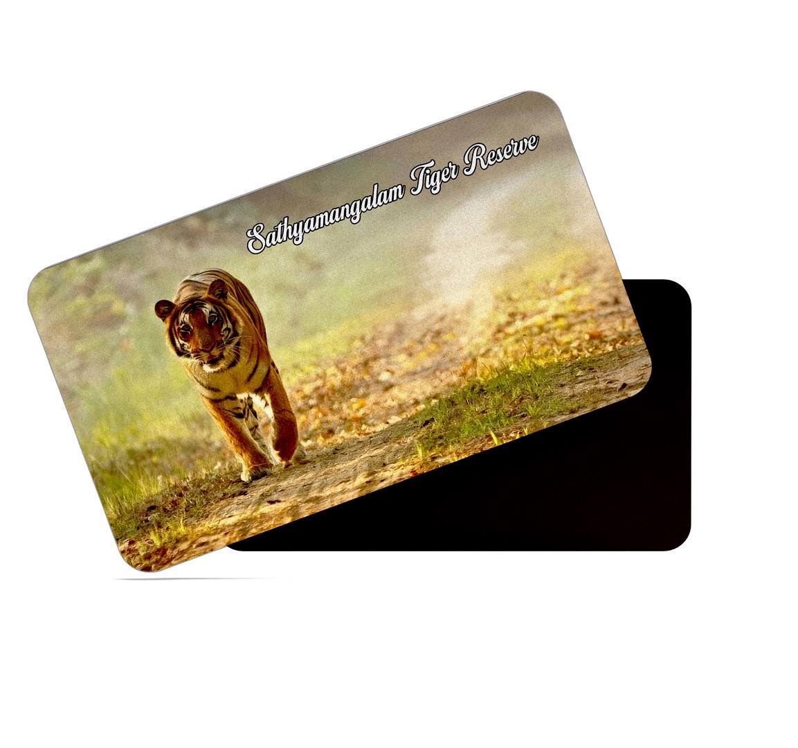 dhcrafts Multicolor Tamil Nadu Sathyamangalam Tiger Reserve Design Rectangular Rubber Matte Finish Fridge Magnet / Magnetic Card Pack of 1 (8.6cm x 5.4cm)