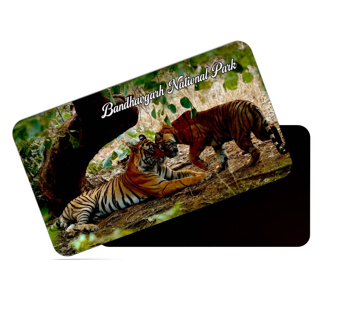 dhcrafts Multicolor Madhya Pradesh Bandhavgarh National Park D2 Design Rectangular Rubber Matte Finish Fridge Magnet / Magnetic Card Pack of 1 (8.6cm x 5.4cm)