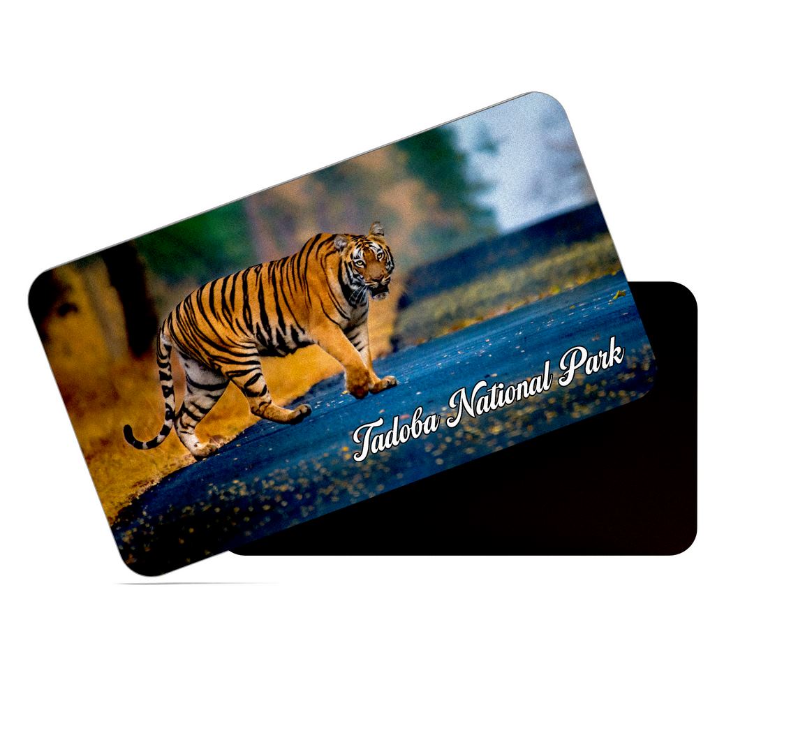 dhcrafts Multicolor Maharashtra Tadoba National Park Design Rectangular Rubber Matte Finish Fridge Magnet / Magnetic Card Pack of 1 (8.6cm x 5.4cm)