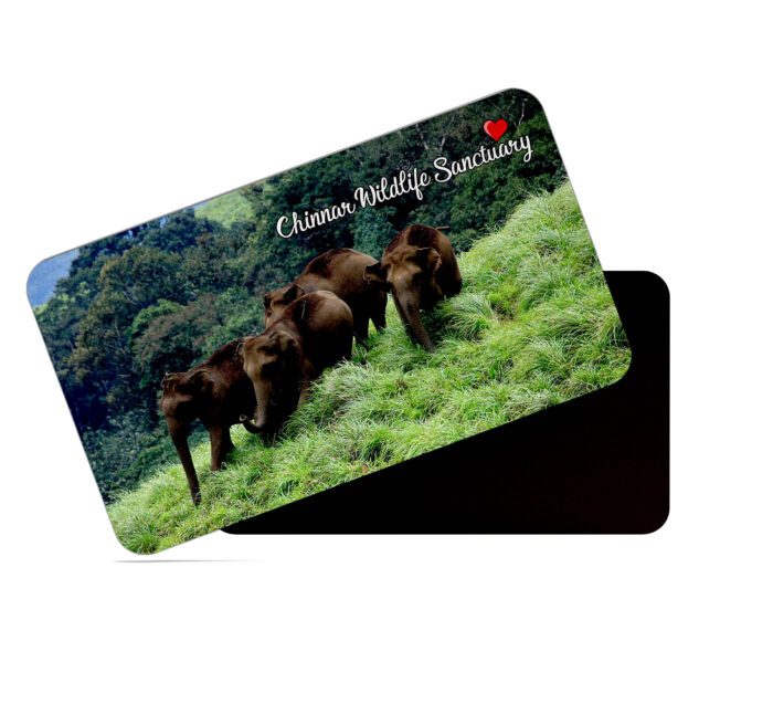 dhcrafts Rectangular Rubber Fridge Magnet / Magnetic Card Multicolor Kerala Chinnar Wildlife Sanctuary Design Pack of 1 (8.6cm x 5.4cm)
