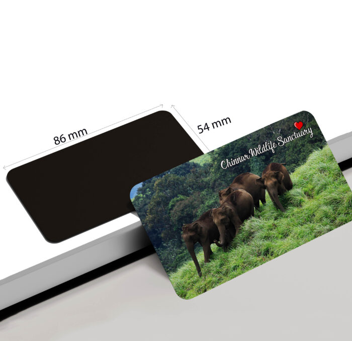 dhcrafts Rectangular Rubber Fridge Magnet / Magnetic Card Multicolor Kerala Chinnar Wildlife Sanctuary Design Pack of 1 (8.6cm x 5.4cm)
