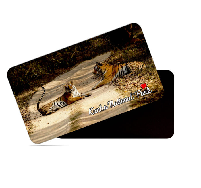 dhcrafts Rectangular Rubber Fridge Magnet / Magnetic Card Multicolor Kanha Tiger Reserve Madhya Pradesh Design Pack of 1 (8.6cm x 5.4cm)