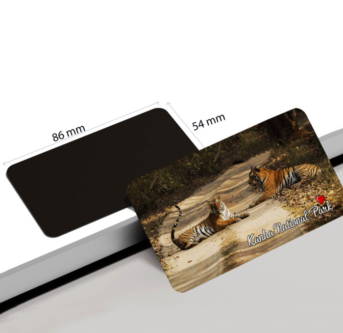 dhcrafts Rectangular Rubber Fridge Magnet / Magnetic Card Multicolor Kanha Tiger Reserve Madhya Pradesh Design Pack of 1 (8.6cm x 5.4cm)
